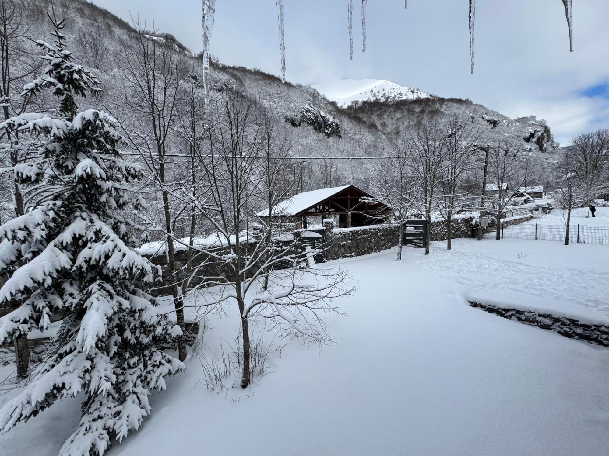 Vikendice Biocinovici Kolašin Exterior foto